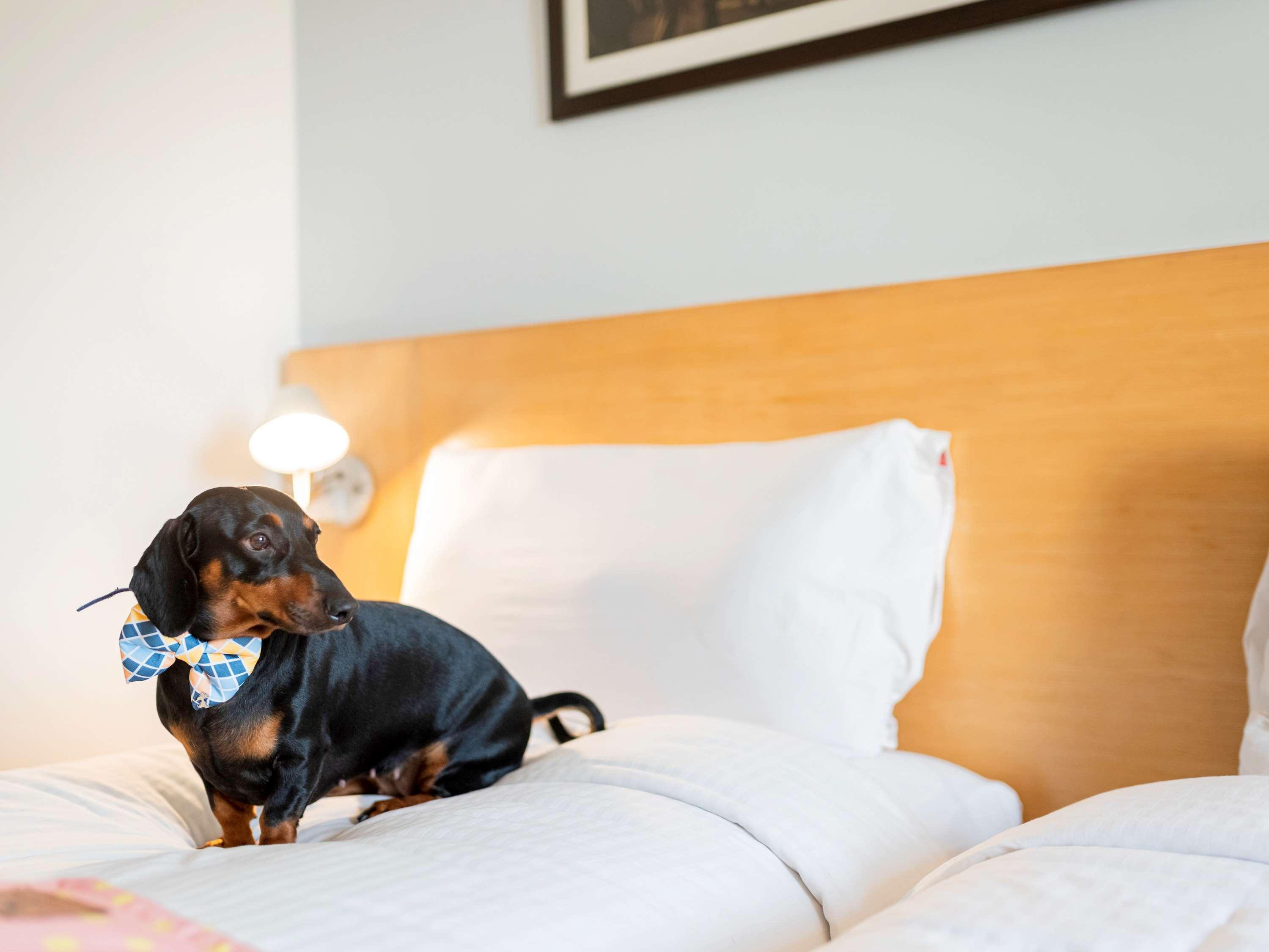 Ibis Pune Viman Nagar - An Accor Brand Luaran gambar