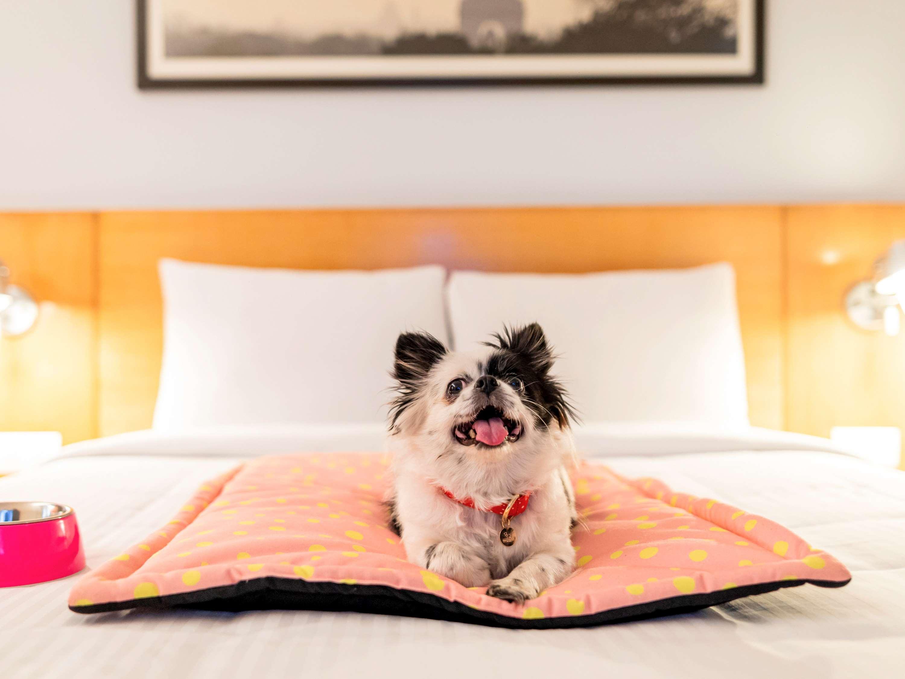 Ibis Pune Viman Nagar - An Accor Brand Luaran gambar